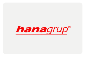 Hana Grup